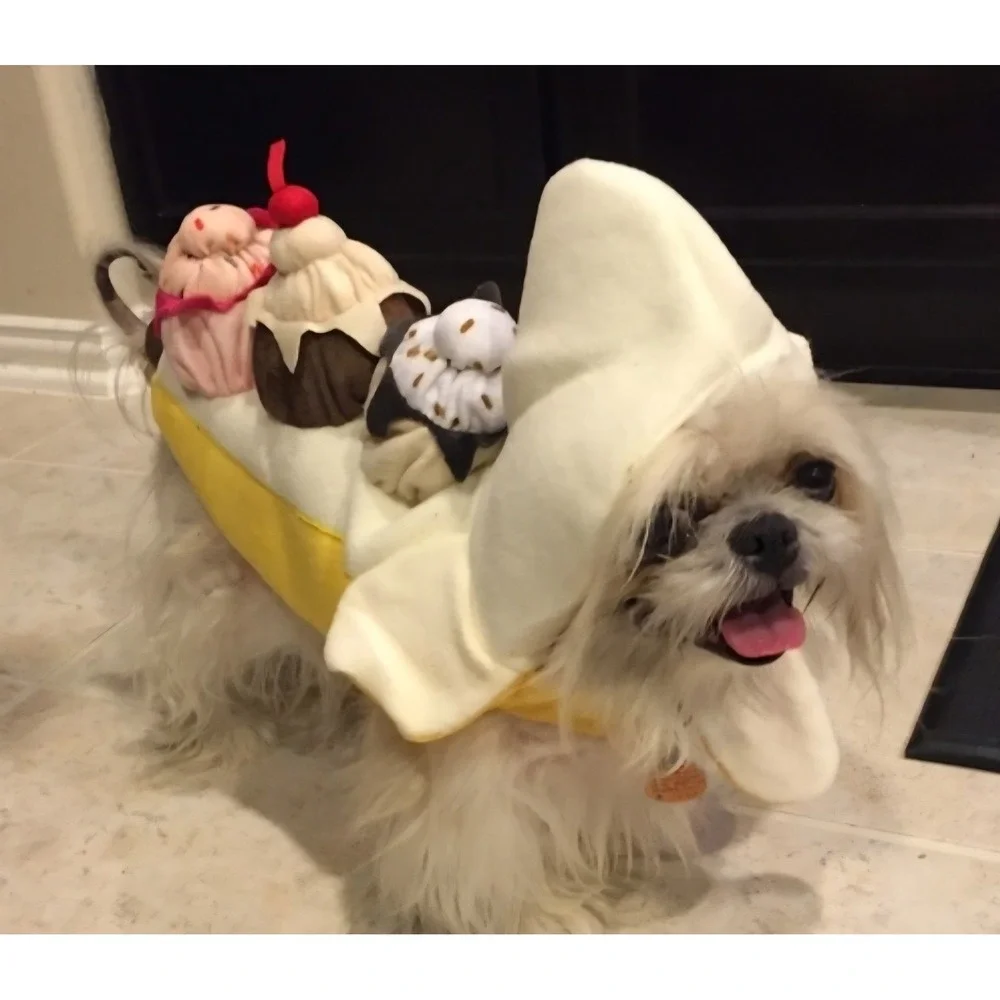 Dog costume Banana‎ Split size M